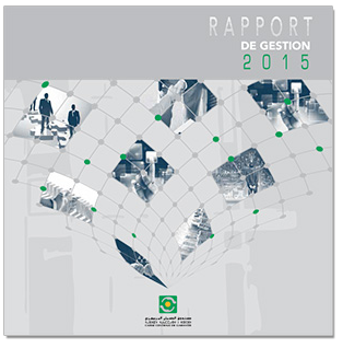 rapport 2015