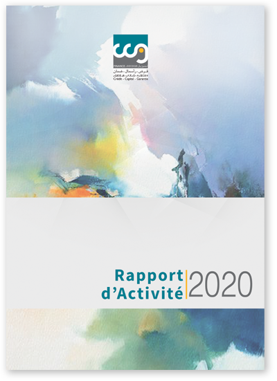 rapport 2020
