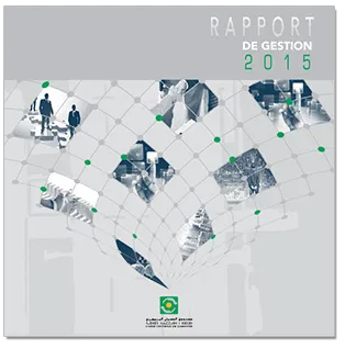 rapport 2015